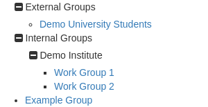 Groups structured using group categories